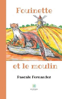 bokomslag Fouinette et le moulin