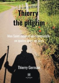 bokomslag Thierry the pilgrim
