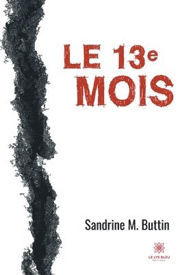 bokomslag 13e mois