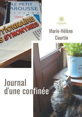 bokomslag Journal d'une confine