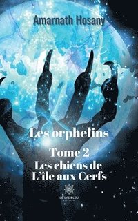 bokomslag Les orphelins