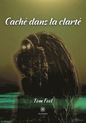 Cache dans la clarte 1