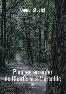 bokomslag Plongée en enfer de Charleroi à Marseille