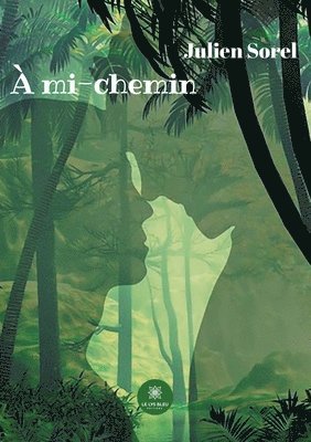 bokomslag À mi-chemin