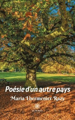 bokomslag Poesie d'un autre pays