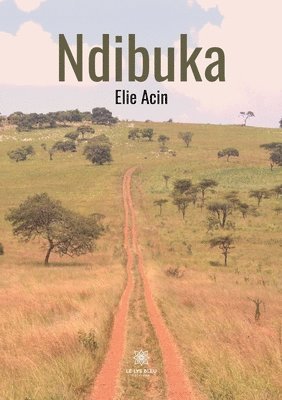 Ndibuka 1