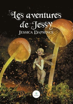 bokomslag Les aventures de Jessy