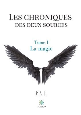 Les chroniques des deux sources 1