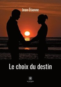 bokomslag choix du destin