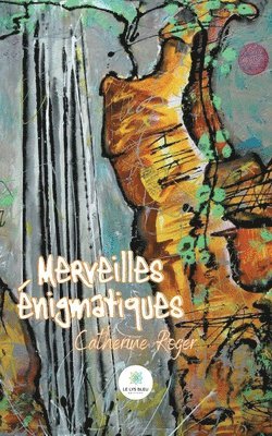 bokomslag Merveilles énigmatiques