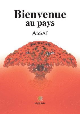 bokomslag Bienvenue au pays