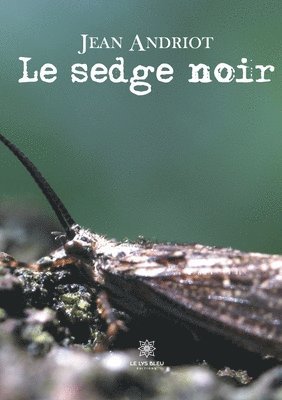 bokomslag sedge noir