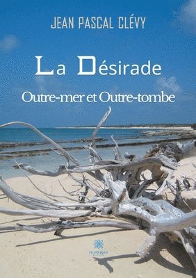bokomslag Désirade Outre-mer et Outre-tombe