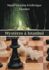 bokomslag Mysteres a Istanbul