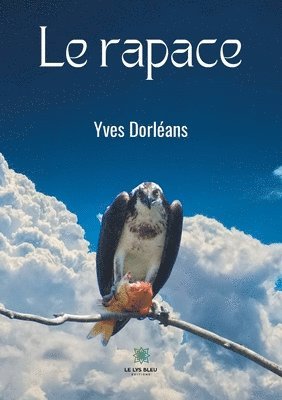 bokomslag Le rapace