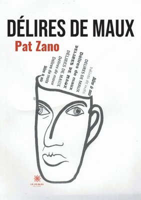 bokomslag Delires de maux