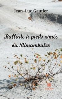 bokomslag Ballade a pieds rimes ou Rimambuler