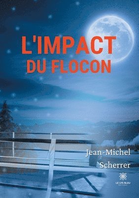 L'impact du flocon 1