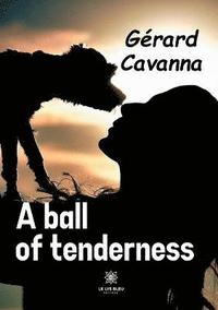 bokomslag A ball of tenderness