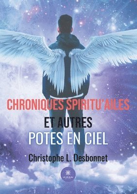 bokomslag Chroniques spiritu'ailes et autres potes en ciel