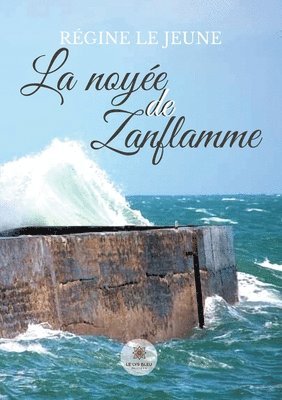 bokomslag noyée de Zanflamme