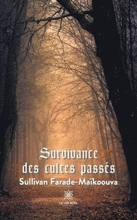 bokomslag Survivance des cultes passes