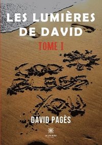 bokomslag Les lumieres de David