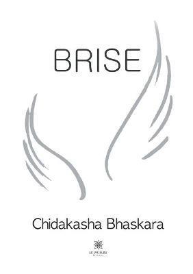 Brise 1