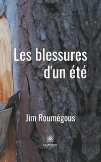 bokomslag Les blessures d'un ete