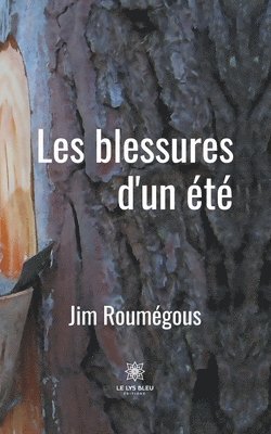 bokomslag Les blessures d'un ete