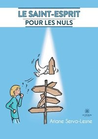 bokomslag Saint-Esprit pour les nuls