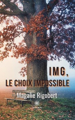 bokomslag IMG, le choix impossible