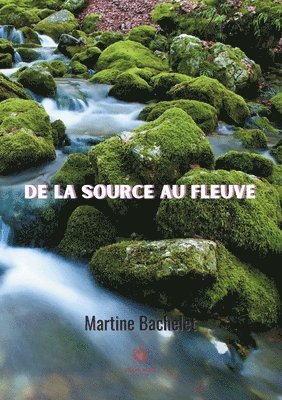 bokomslag De la source au fleuve