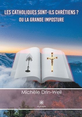 bokomslag Les catholiques sont-ils chretiens ?