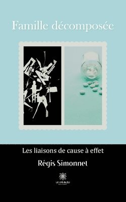 bokomslag Famille décomposée