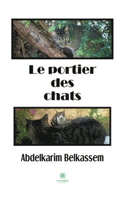 bokomslag portier des chats