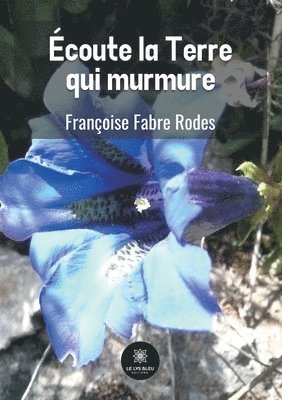 bokomslag Écoute la Terre qui murmure