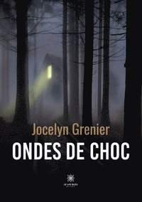 bokomslag Ondes de choc