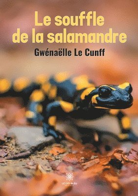 bokomslag souffle de la salamandre