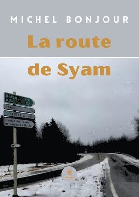 bokomslag La route de Syam