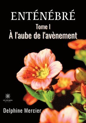 Delphine Mercier - Enténébré, Häftad