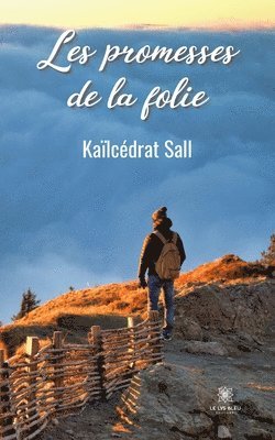 bokomslag Les promesses de la folie