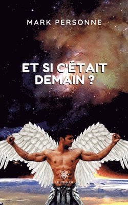 bokomslag Pierre de lune