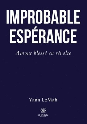 bokomslag Improbable Espérance