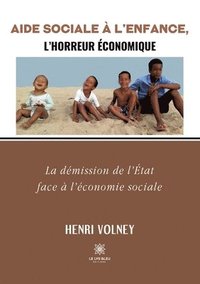 bokomslag Aide Sociale à l'Enfance, l'horreur économique