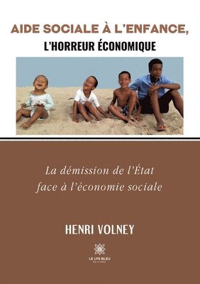 bokomslag Aide Sociale à l'Enfance, l'horreur économique