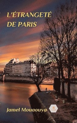 bokomslag L'étrangeté de Paris