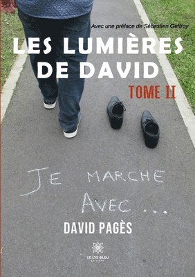 bokomslag Les lumières de David