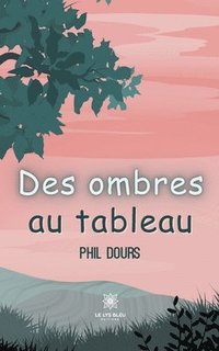 bokomslag Des ombres au tableau