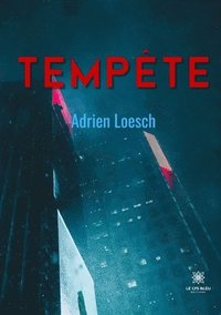 bokomslag Tempête